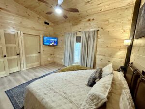 Mid Century Modern Cabin